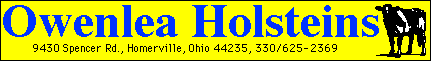 Owen Holstein Logo